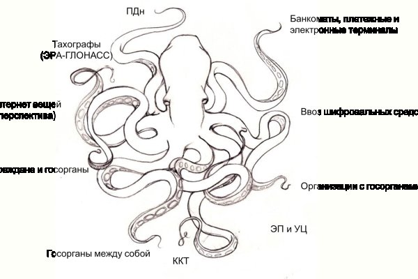 Kraken online